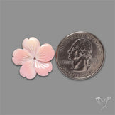 Pink Conch Shell Floral Carving (not flat backed)