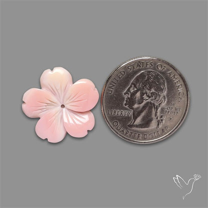 Pink Conch Shell Floral Carving (not flat backed)