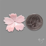 Pink Conch Shell Floral Carving (not flat backed)