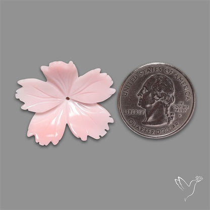 Pink Conch Shell Floral Carving (not flat backed)