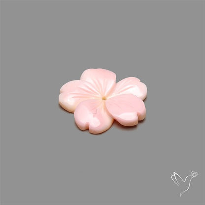 Pink Conch Shell Floral Carving (not flat backed)