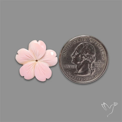 Pink Conch Shell Floral Carving (not flat backed)