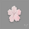 Pink Conch Shell Floral Carving (not flat backed)