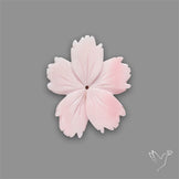 Pink Conch Shell Floral Carving (not flat backed)