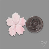 Pink Conch Shell Floral Carving (not flat backed)