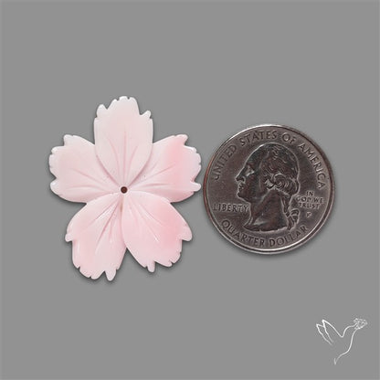 Pink Conch Shell Floral Carving (not flat backed)