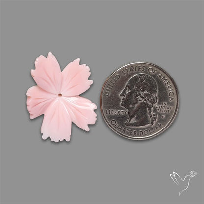 Pink Conch Shell Floral Carving (not flat backed)