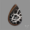 Black Septarian Fossil Cabochon