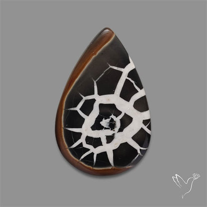 Black Septarian Fossil Cabochon