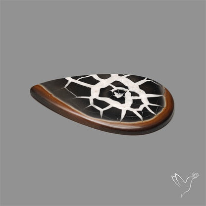 Black Septarian Fossil Cabochon