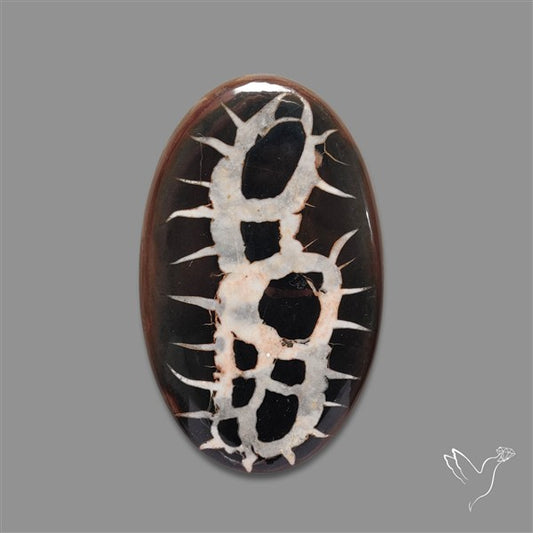 Large Black Septarian Fossil Cabochon