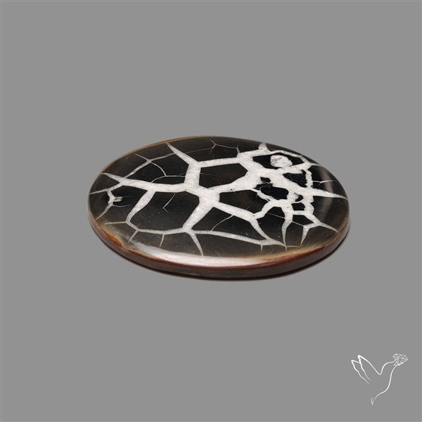 Black Septarian Fossil Cabochon