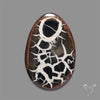 Black Septarian Fossil Cabochon