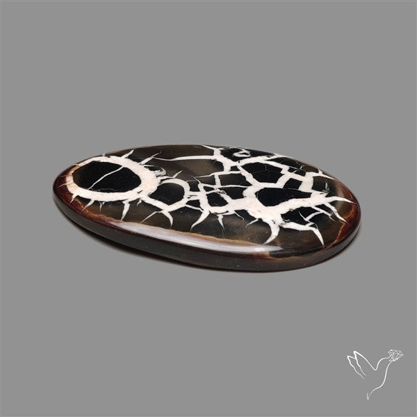 Black Septarian Fossil Cabochon