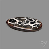Black Septarian Fossil Cabochon