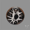 Black Septarian Fossil Cabochon