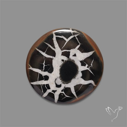 Black Septarian Fossil Cabochon