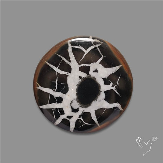 Black Septarian Fossil Cabochon
