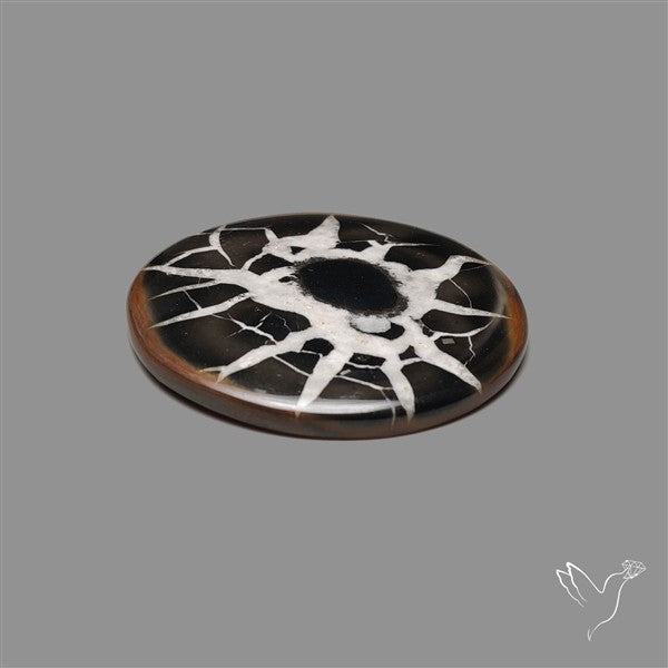 Black Septarian Fossil Cabochon
