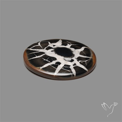 Black Septarian Fossil Cabochon
