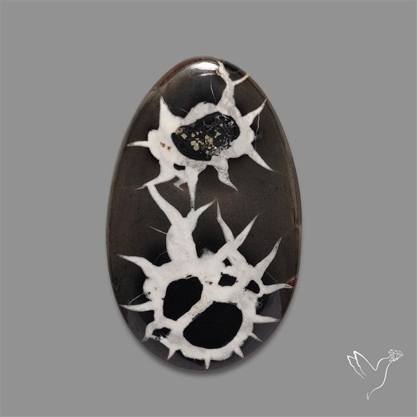 Black Septarian Fossil Cabochon