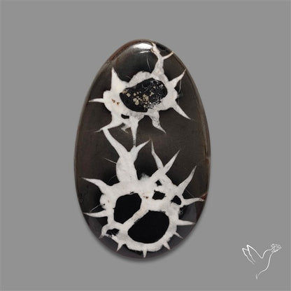 Black Septarian Fossil Cabochon