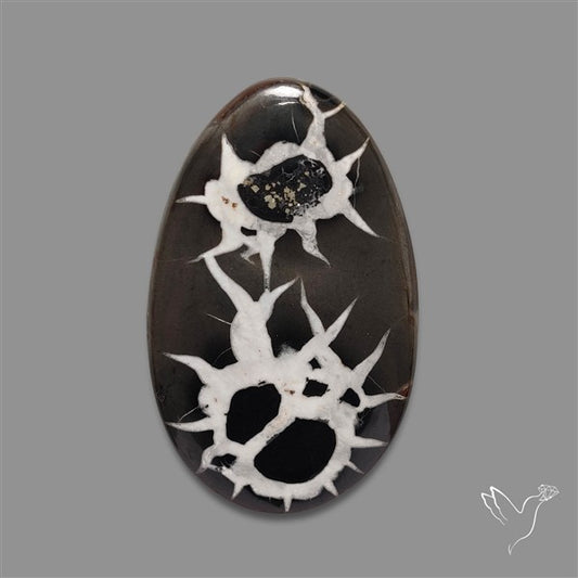 Black Septarian Fossil Cabochon