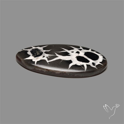 Black Septarian Fossil Cabochon
