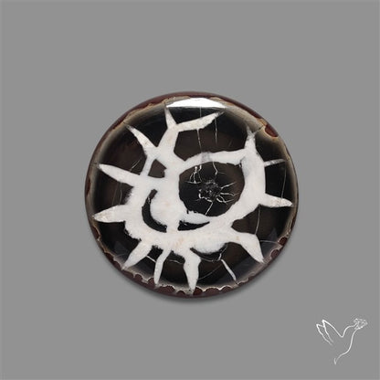 Black Septarian Fossil Cabochon