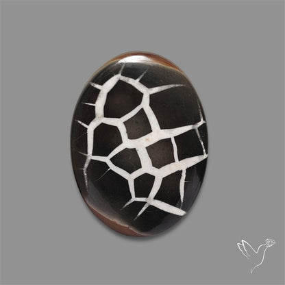 Black Septarian Fossil Cabochon