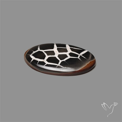 Black Septarian Fossil Cabochon
