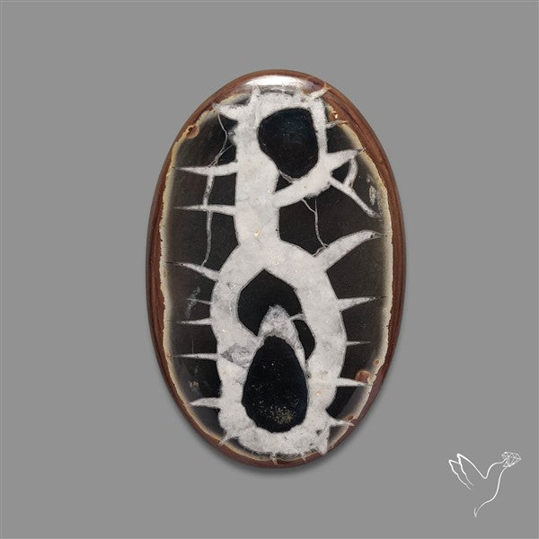 Black Septarian Fossil Cabochon