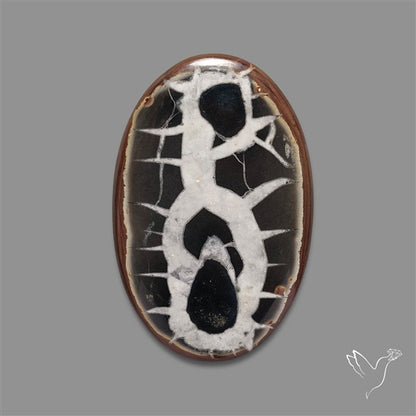 Black Septarian Fossil Cabochon