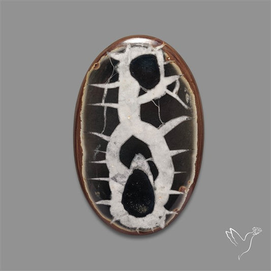 Black Septarian Fossil Cabochon