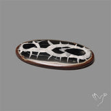 Black Septarian Fossil Cabochon