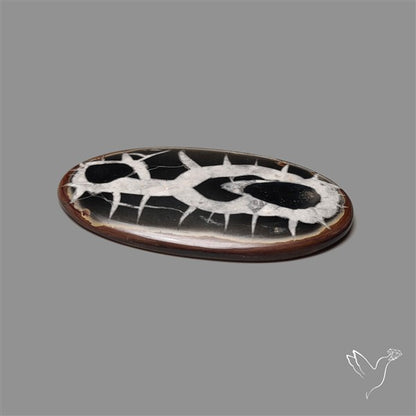 Black Septarian Fossil Cabochon