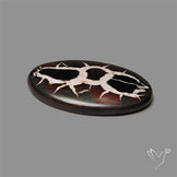 Black Septarian Fossil Cabochon