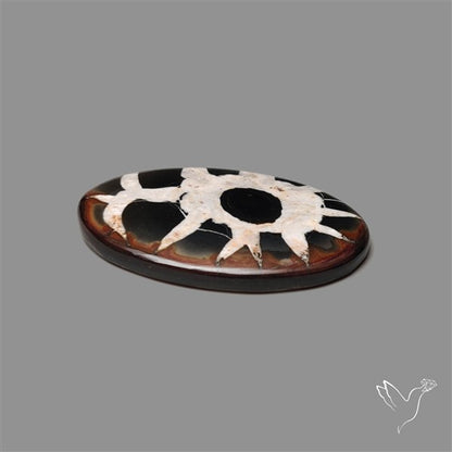 Black Septarian Fossil Cabochon