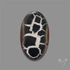 Black Septarian Fossil Cabochon