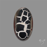 Black Septarian Fossil Cabochon