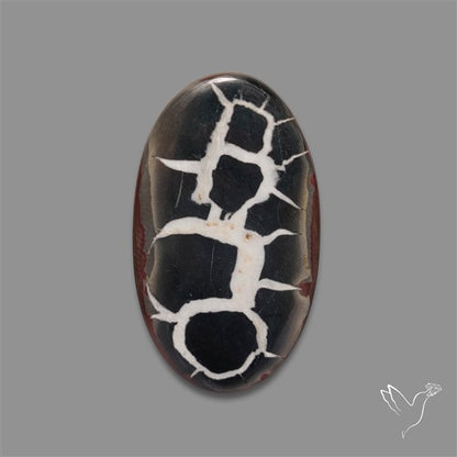 Black Septarian Fossil Cabochon