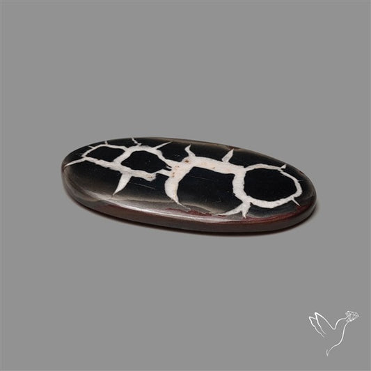 Black Septarian Fossil Cabochon