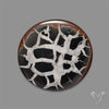 Black Septarian Fossil Cabochon
