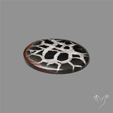 Black Septarian Fossil Cabochon