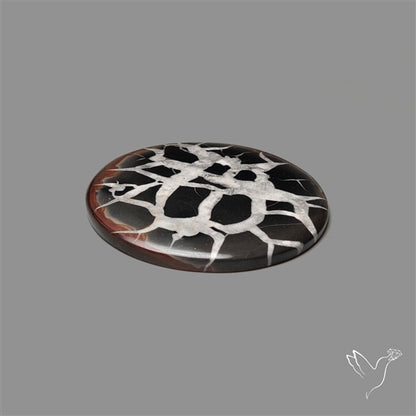 Black Septarian Fossil Cabochon