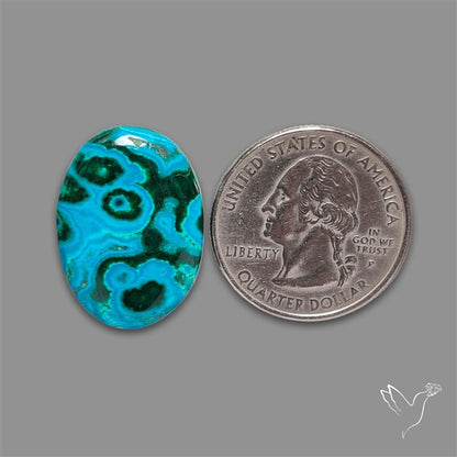 Chrysocolla Malachite Cabochon