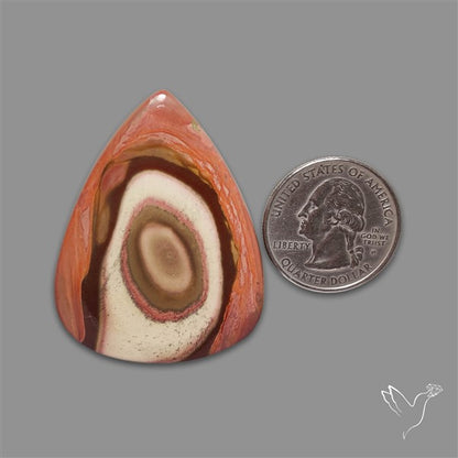 Polychrome Picture Jasper Cabochon Rare Spiral Pattern