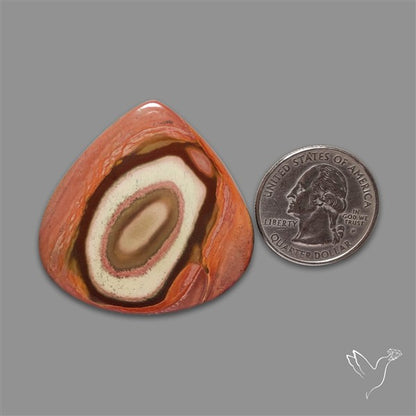 Polychrome Picture Jasper Cabochon Rare Spiral Pattern