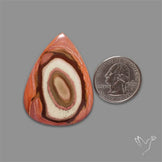 Polychrome Picture Jasper Cabochon Rare Spiral Pattern