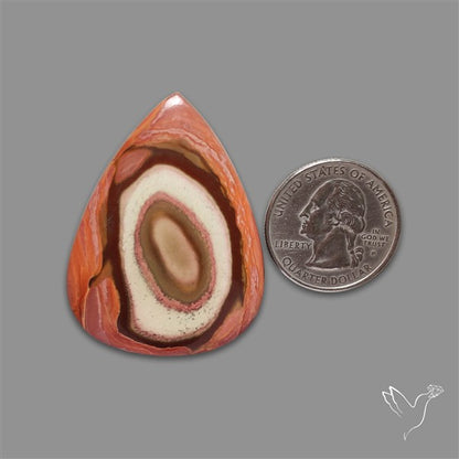 Polychrome Picture Jasper Cabochon Rare Spiral Pattern